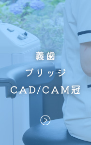 義歯ブリッジCADCAM冠